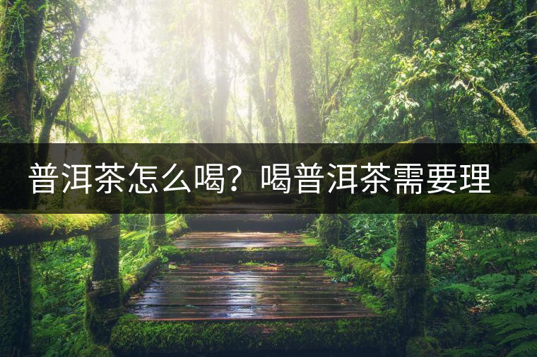 普洱茶怎么喝？喝普洱茶需要理由嗎？