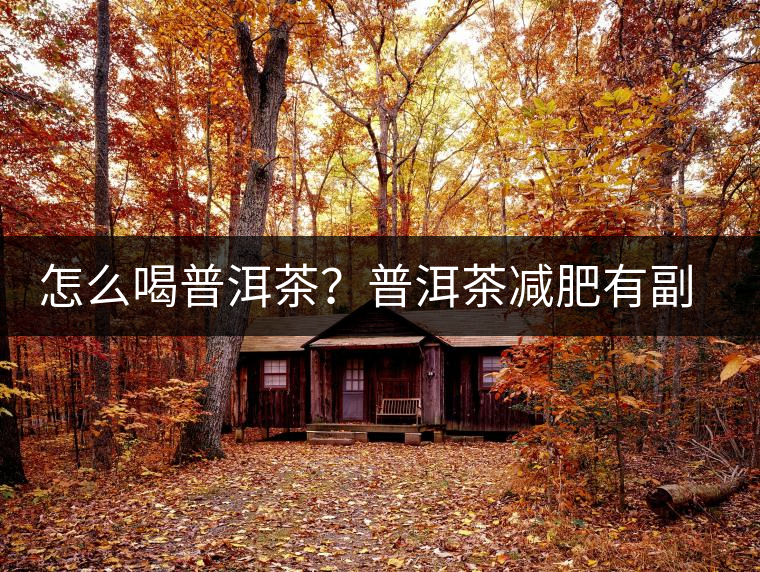 怎么喝普洱茶？普洱茶減肥有副作用嗎？