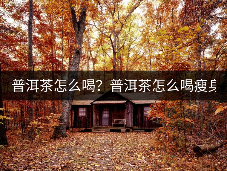 普洱茶怎么喝？普洱茶怎么喝瘦身？