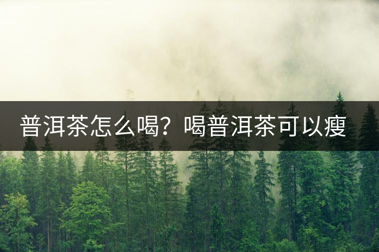普洱茶怎么喝？喝普洱茶可以瘦腹嗎？