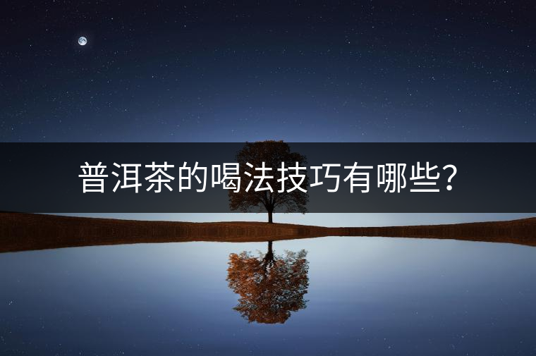 普洱茶的喝法技巧有哪些？