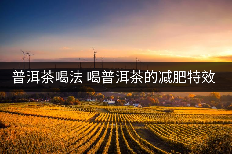 普洱茶喝法 喝普洱茶的減肥特效是什么呢？