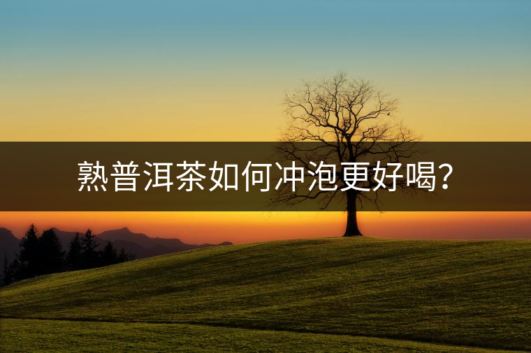 熟普洱茶如何沖泡更好喝？
