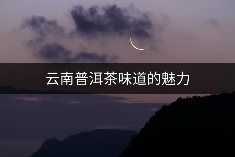云南普洱茶味道的魅力 云南普洱茶味道的魅力