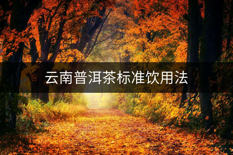 云南普洱茶標(biāo)準(zhǔn)飲用法 云南普洱茶標(biāo)準(zhǔn)飲用法