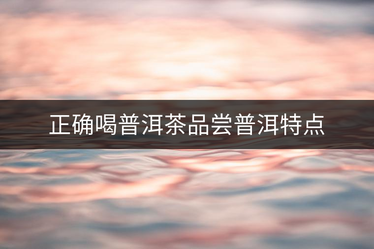 正確喝普洱茶品嘗普洱特點