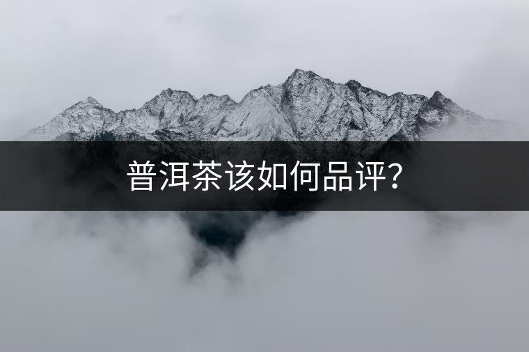 普洱茶該如何品評？