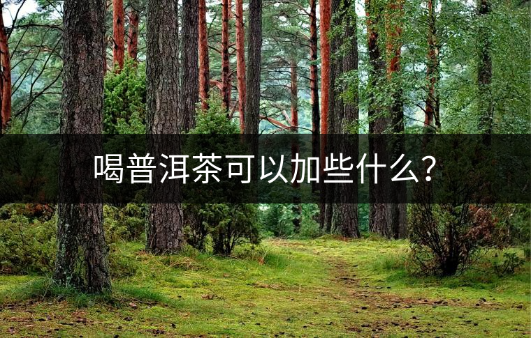 喝普洱茶可以加些什么？