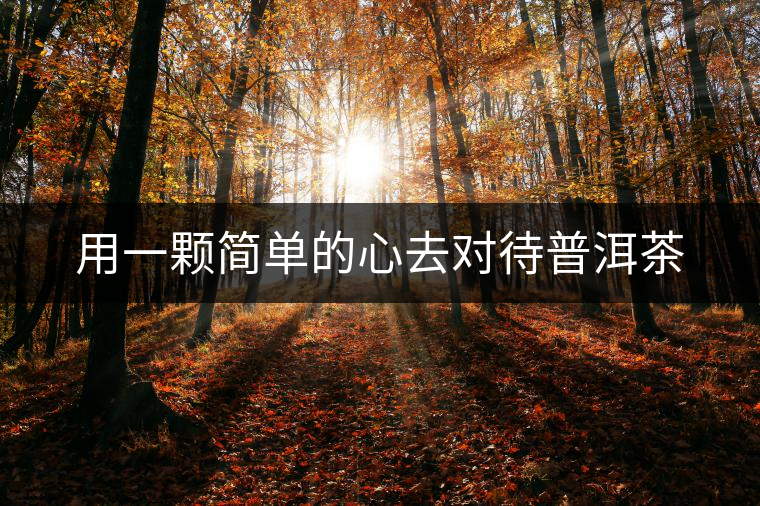 用一顆簡(jiǎn)單的心去對(duì)待普洱茶 用一顆簡(jiǎn)單的心去對(duì)待普洱茶