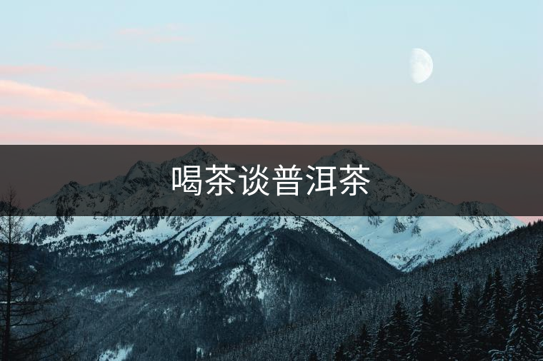 喝茶談普洱茶 喝茶談普洱茶