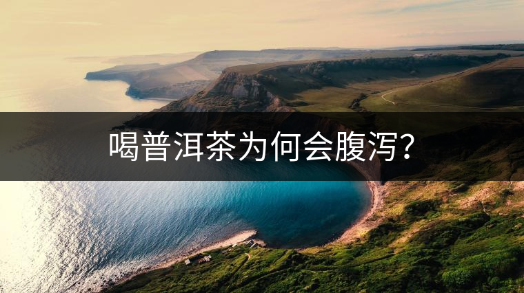 喝普洱茶為何會(huì)腹瀉？