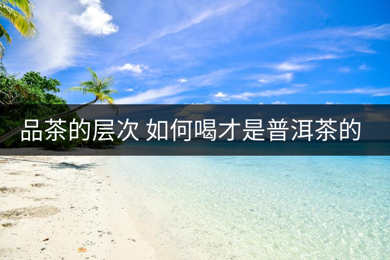 品茶的層次 如何喝才是普洱茶的最高境界？