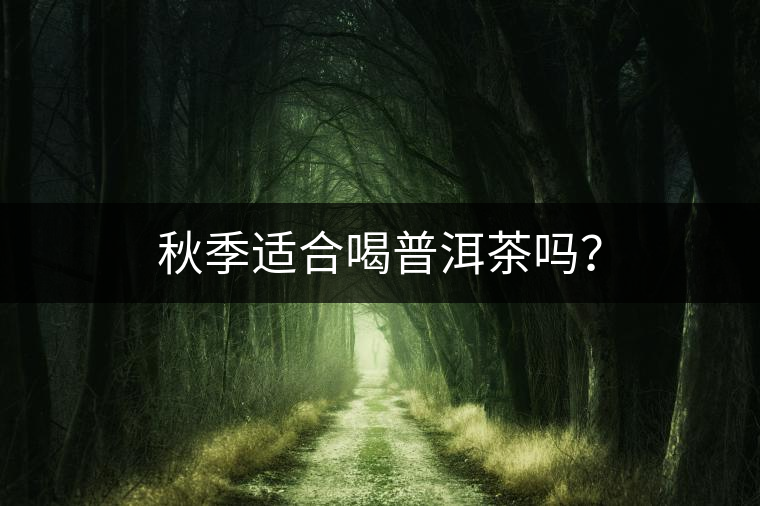 秋季適合喝普洱茶嗎? 秋季適合喝普洱茶嗎?