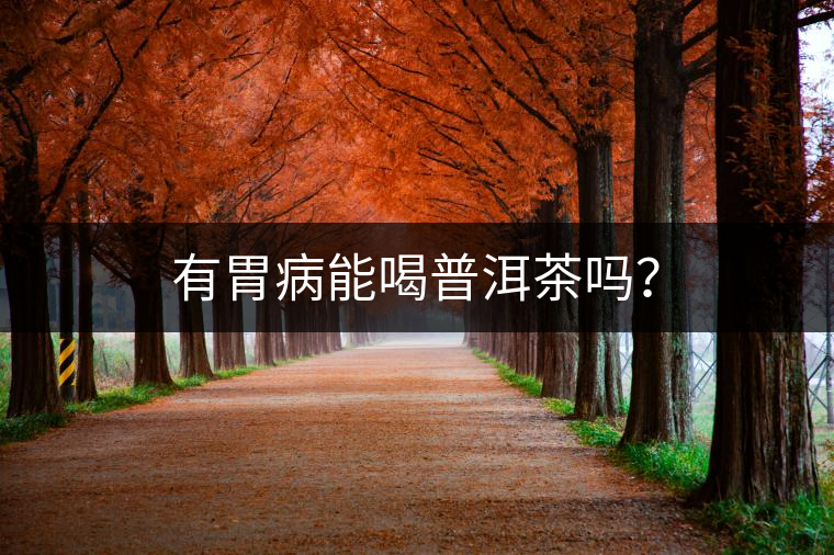 有胃病能喝普洱茶嗎？