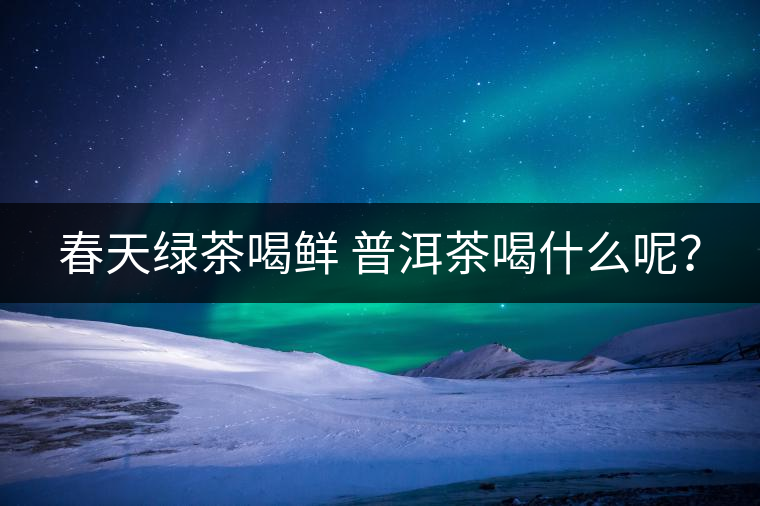 春天綠茶喝鮮 普洱茶喝什么呢？