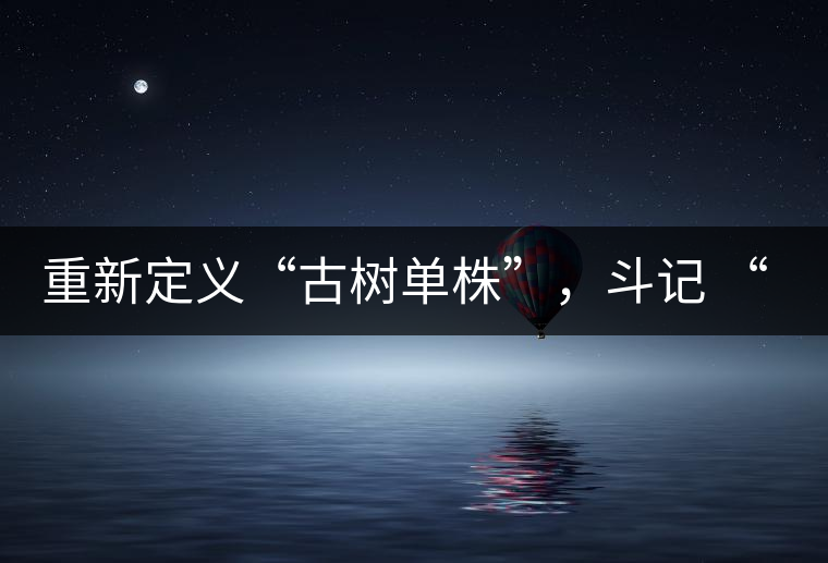 重新定義“古樹單株”，斗記 “超級審評”有償招募告罄在即！