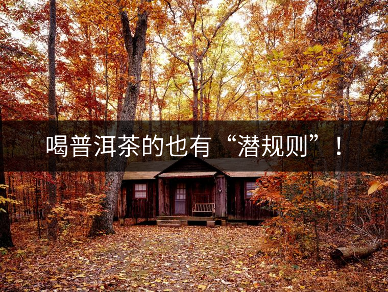 喝普洱茶的也有“潛規(guī)則”！