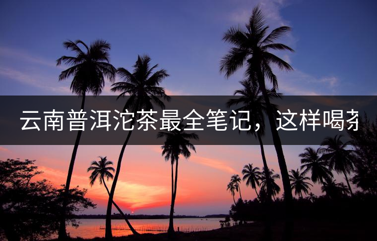 云南普洱沱茶最全筆記，這樣喝茶才更健康！