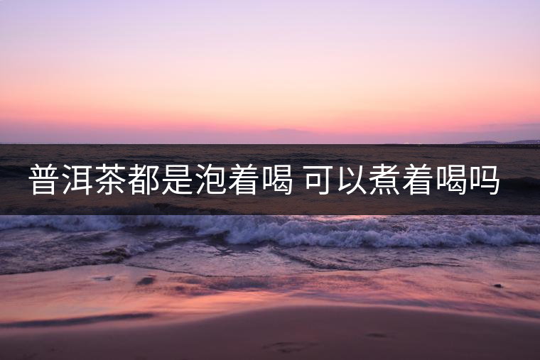 普洱茶都是泡著喝 可以煮著喝嗎? 普洱茶都是泡著喝 可以煮著喝嗎?
