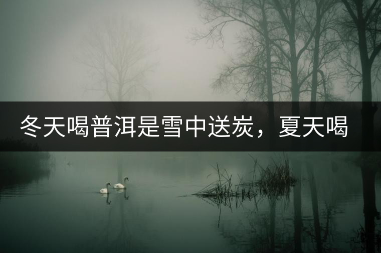 冬天喝普洱是雪中送炭，夏天喝就是火上澆油了？