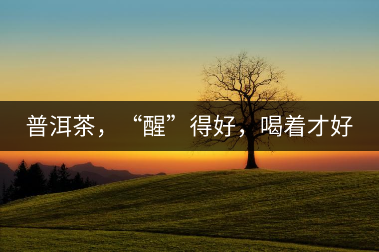 普洱茶，“醒”得好，喝著才好