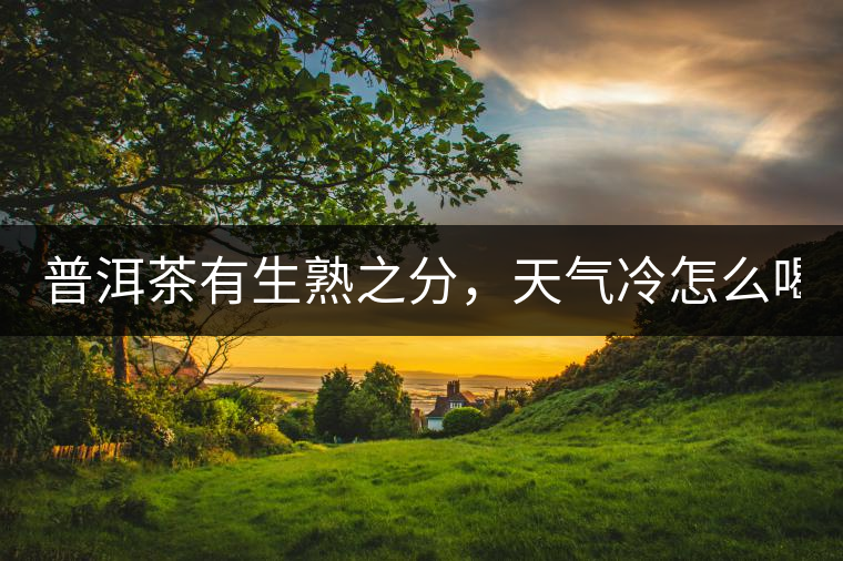 普洱茶有生熟之分，天氣冷怎么喝？