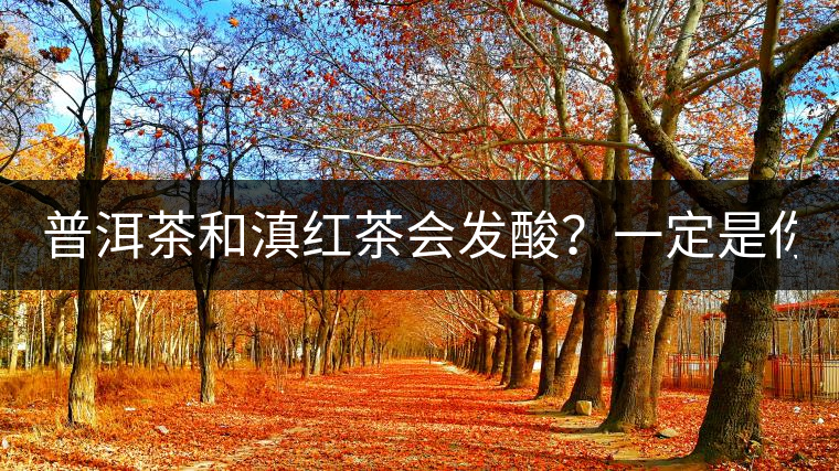 普洱茶和滇紅茶會(huì)發(fā)酸？一定是你這么做了！