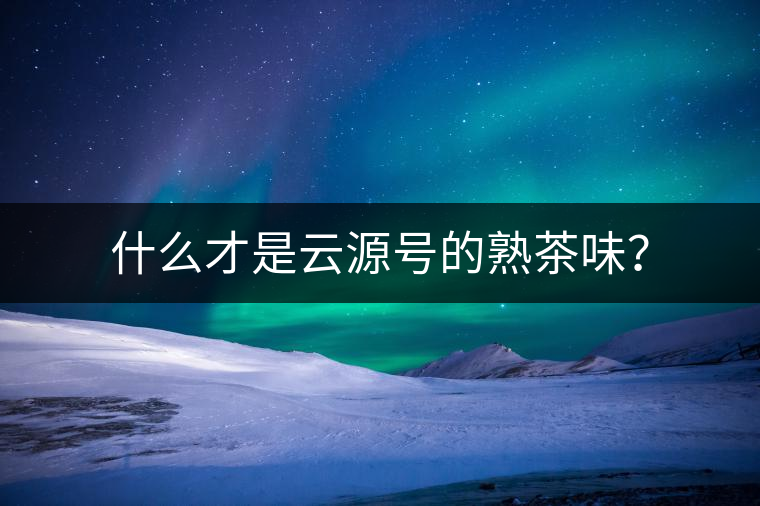 什么才是云源號的熟茶味？