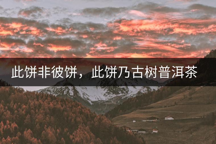 此餅非彼餅，此餅?zāi)斯艠?shù)普洱茶也