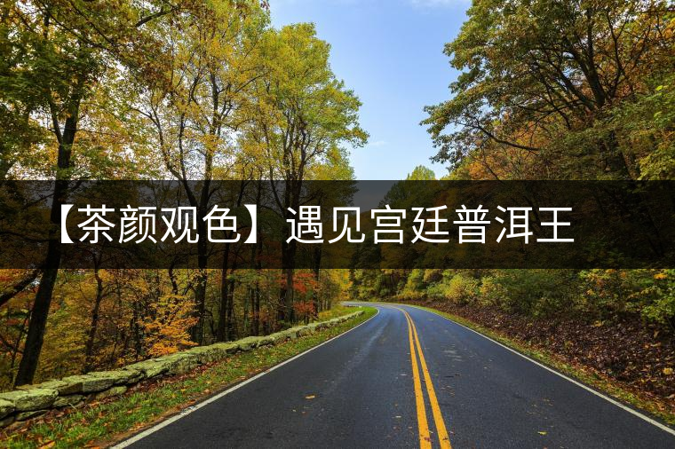 【茶顏觀色】遇見宮廷普洱王之美 【茶顏觀色】遇見宮廷普洱王之美