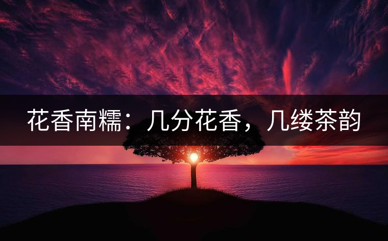 花香南糯：幾分花香，幾縷茶韻