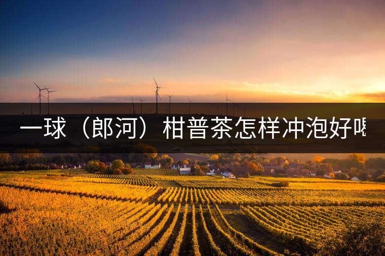 一球（郎河）柑普茶怎樣沖泡好喝？