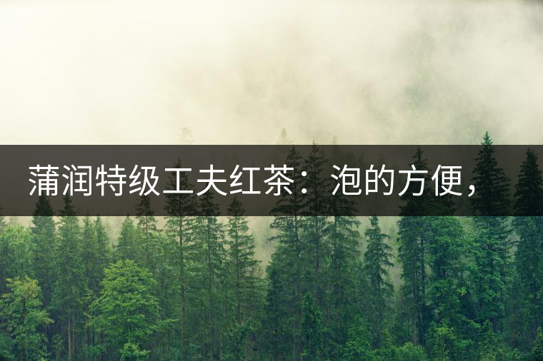 蒲潤特級工夫紅茶：泡的方便，喝的舒適