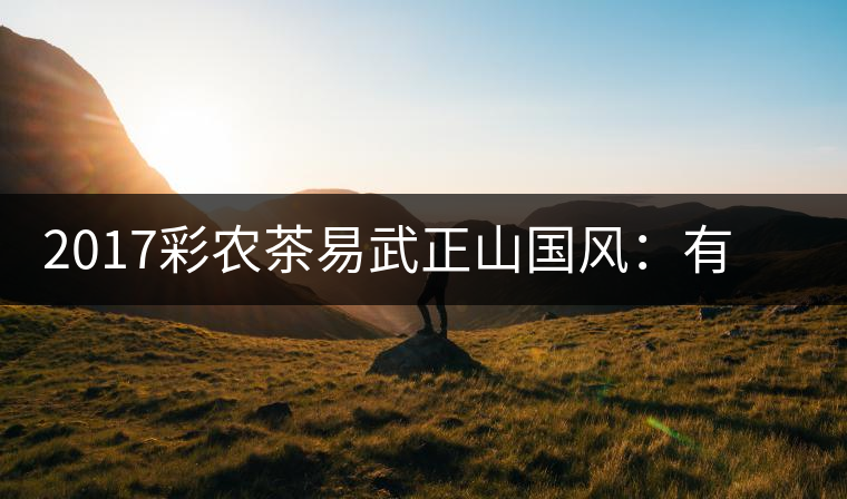 2017彩農(nóng)茶易武正山國(guó)風(fēng)：有茶韻，亦有國(guó)風(fēng)