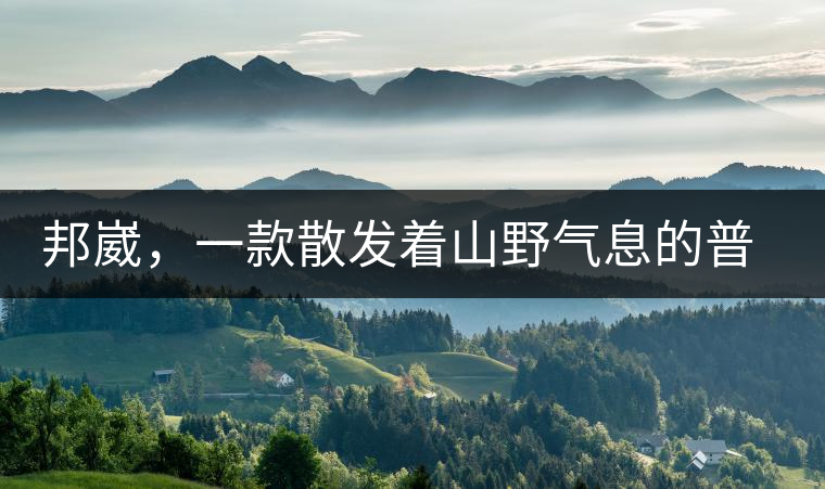 邦崴，一款散發(fā)著山野氣息的普洱