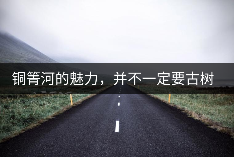 銅箐河的魅力，并不一定要古樹(shù)來(lái)體現(xiàn)