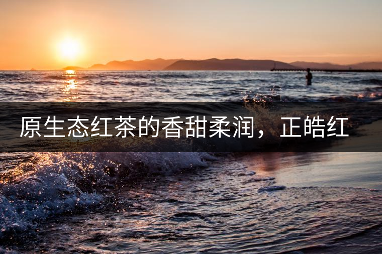 原生態(tài)紅茶的香甜柔潤，正皓紅的魅力無可抵擋！