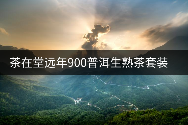 茶在堂遠年900普洱生熟茶套裝賞析 茶在堂遠年900普洱生熟茶套裝賞析