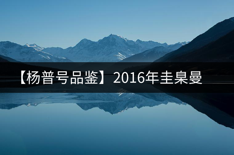 【楊普號品鑒】2016年圭臬曼糯 【楊普號品鑒】2016年圭臬曼糯