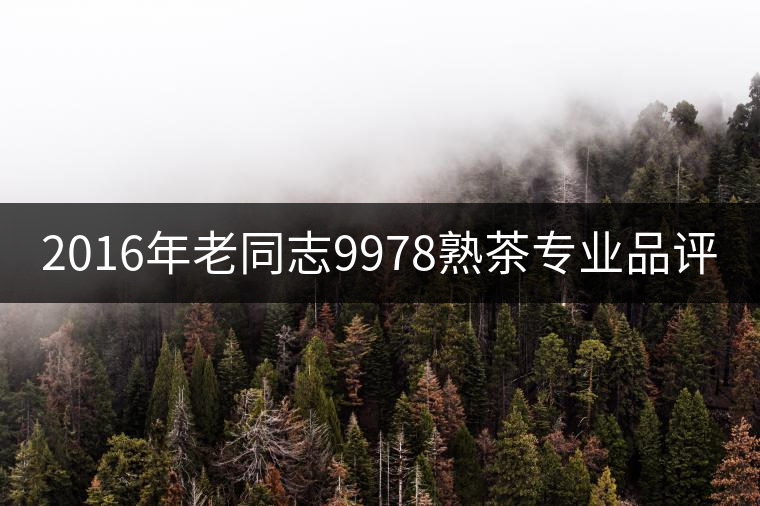 2016年老同志9978熟茶專(zhuān)業(yè)品評(píng)