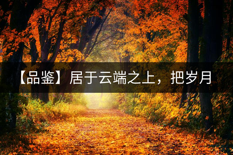 【品鑒】居于云端之上,把歲月“熟”透 【品鑒】居于云端之上,把歲月“熟”透