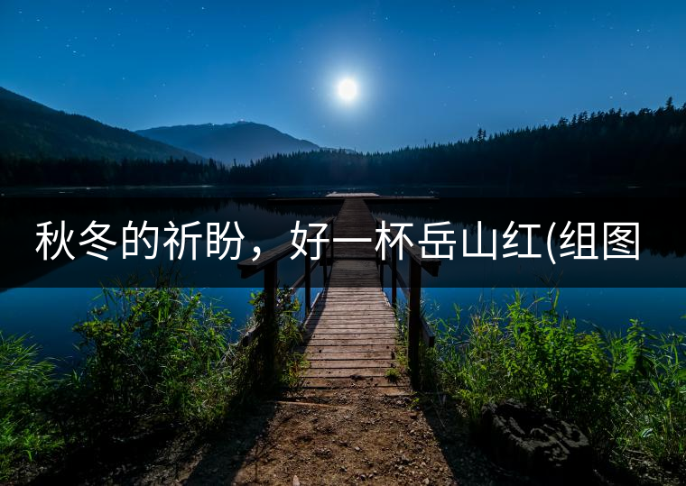 秋冬的祈盼，好一杯岳山紅(組圖)