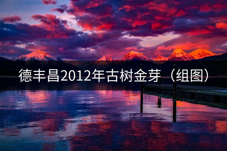 德豐昌2012年古樹(shù)金芽(組圖) 德豐昌2012年古樹(shù)金芽(組圖)
