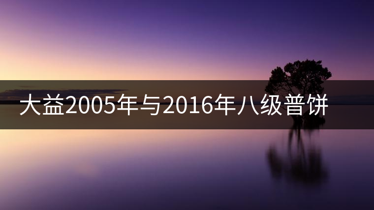 大益2005年與2016年八級(jí)普餅權(quán)威品鑒 大益2005年與2016年八級(jí)普餅權(quán)威品鑒