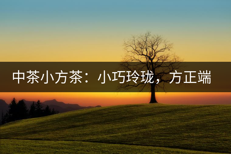 中茶小方茶：小巧玲瓏，方正端莊