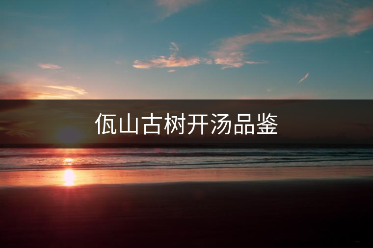 佤山古樹開湯品鑒 佤山古樹開湯品鑒