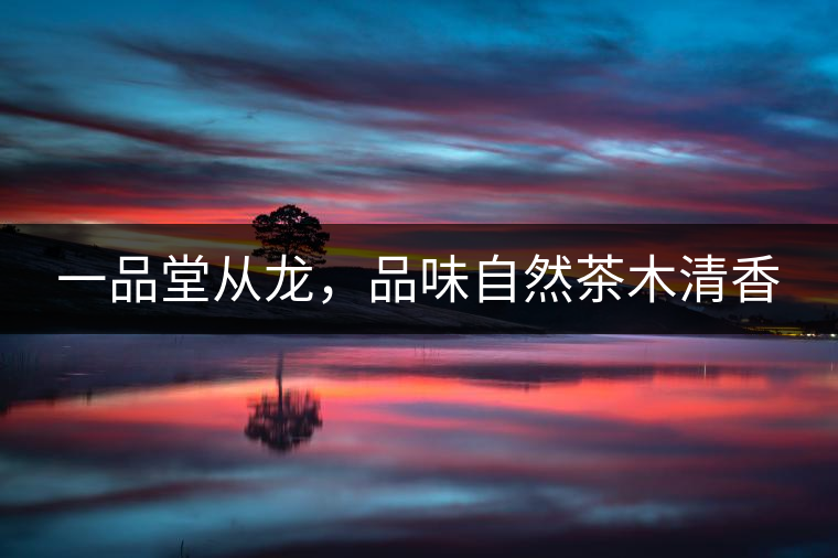 一品堂從龍，品味自然茶木清香