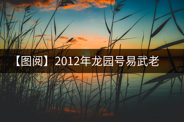 【圖閱】2012年龍園號(hào)易武老樹(shù)餅茶品評(píng)