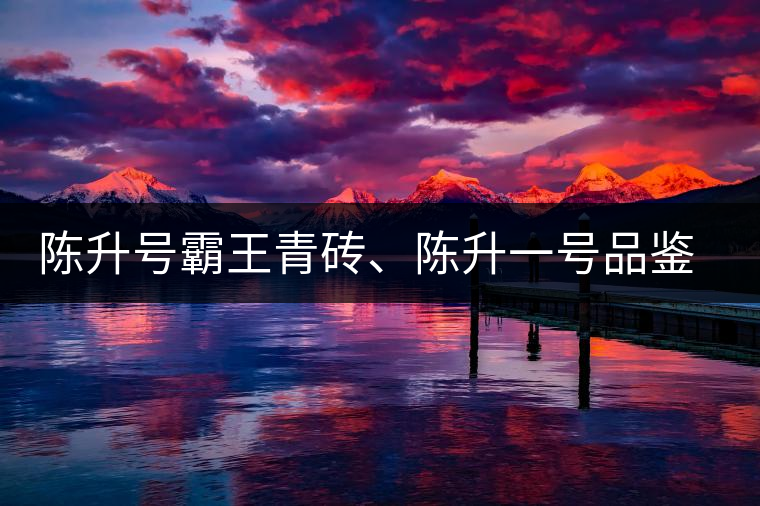 陳升號霸王青磚、陳升一號品鑒【圖】 陳升號霸王青磚、陳升一號品鑒【圖】
