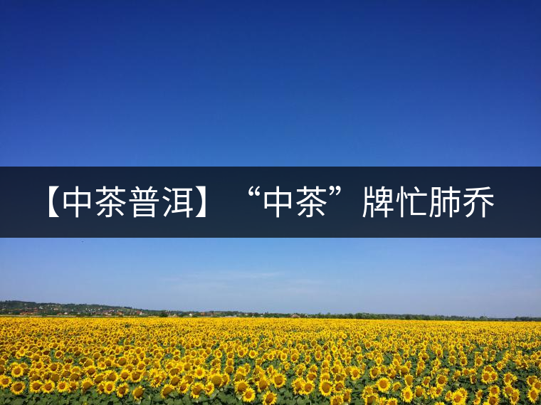 【中茶普洱】“中茶”牌忙肺喬木圓茶品評(píng)